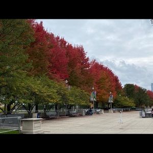 Meet your Posher, Matt